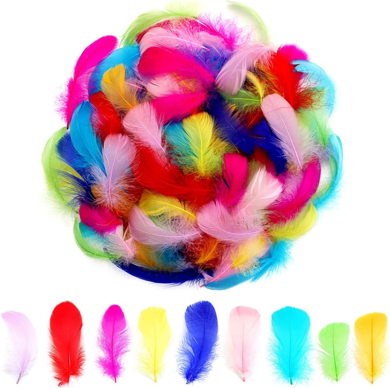 Lamar Feather 300pcs Colorful Feathers 2-3 Inches Bulk Feathers for Crafting, Dream Catcher Accessories, Art Projects, DIY Crafting, Handi Crafts, Party Decoration (Colorful) - Image 1
